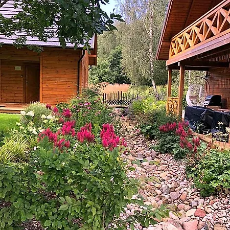 Siedlisko Modrej Czapli. Na Kaszubach